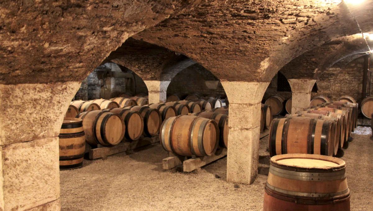 wine caves tour in beaune