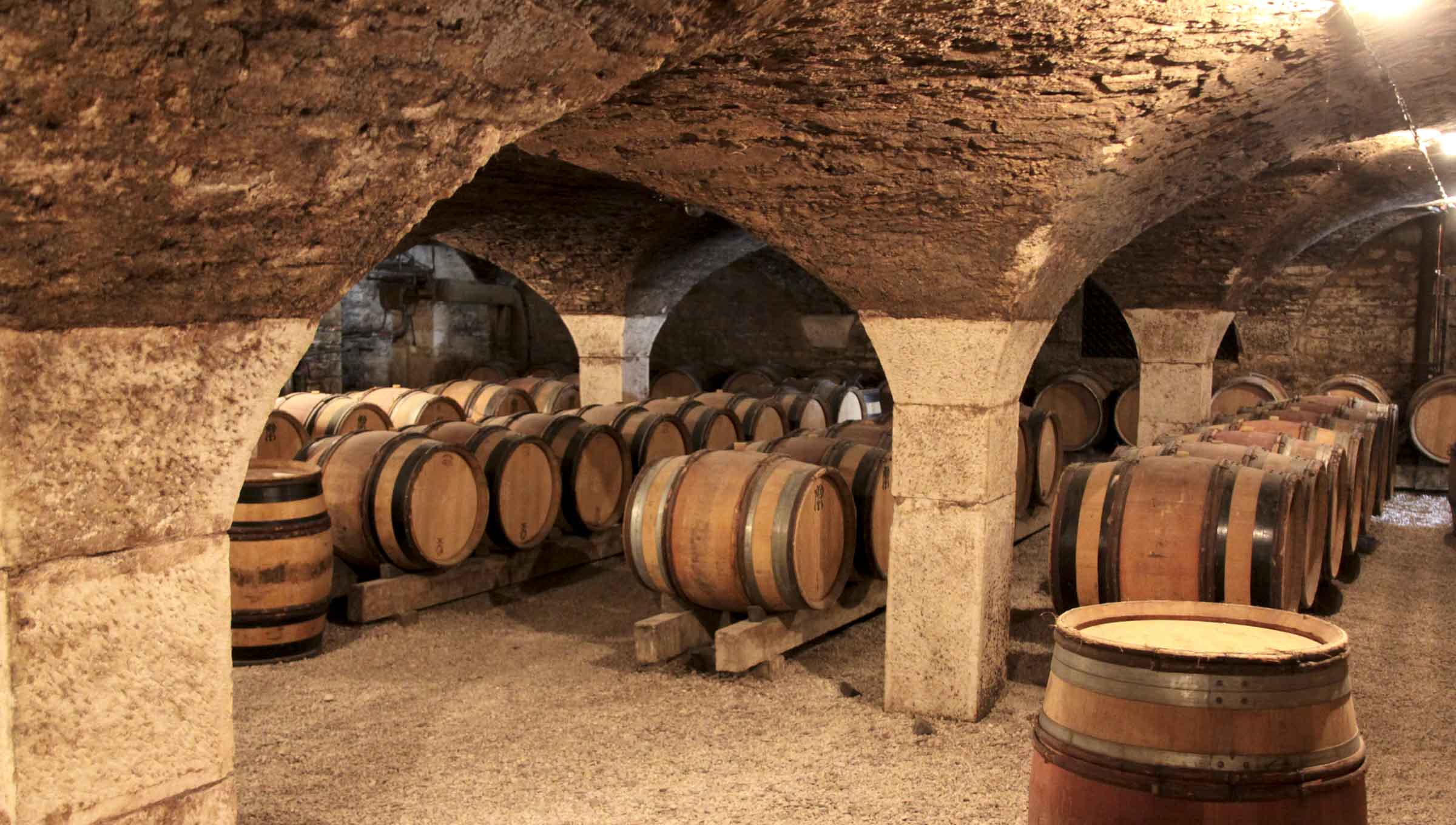 wine caves tour in beaune